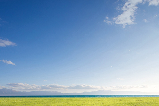 Making Health Coverage Work for Women